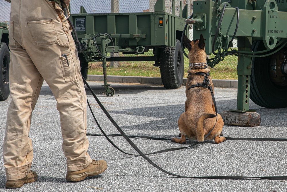 K-9 Training on Camp Kinser