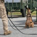 K-9 Training on Camp Kinser