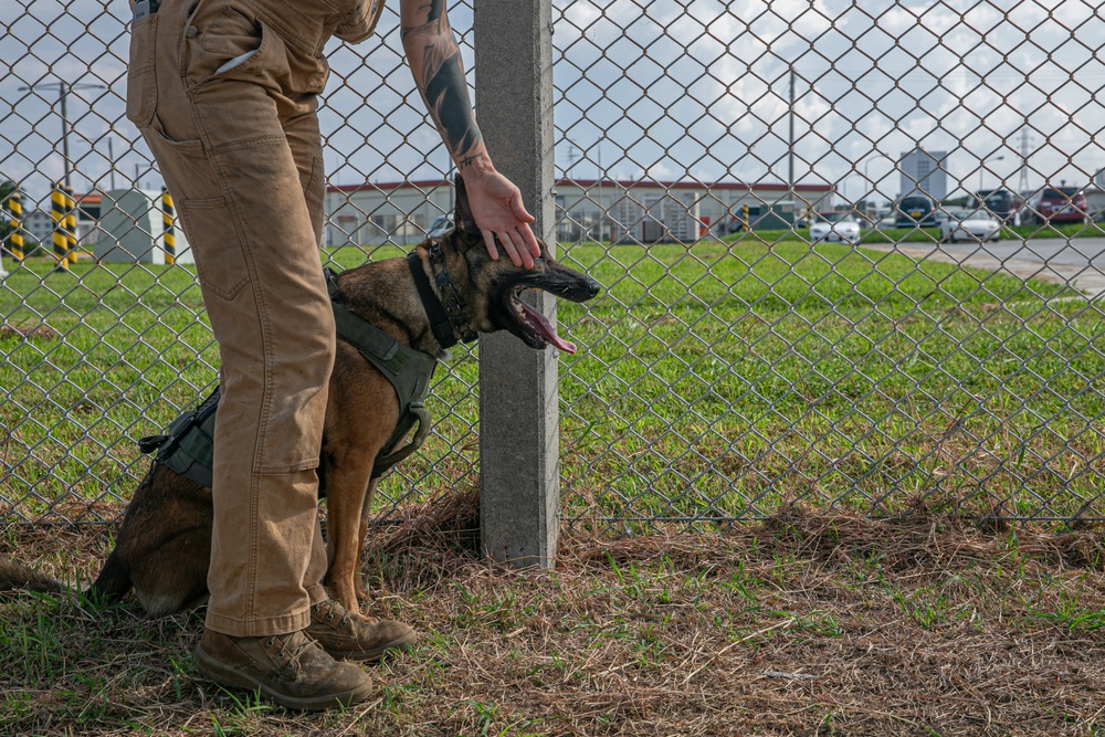 K-9 Training on Camp Kinser