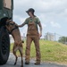 K-9 Training on Camp Kinser