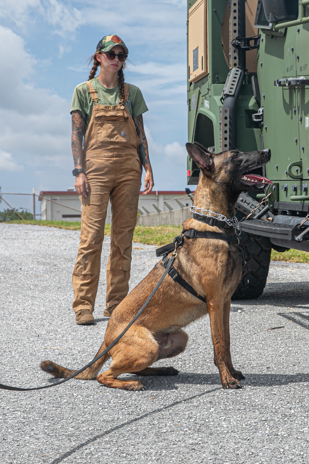 K-9 Training on Camp Kinser
