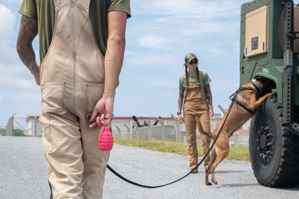 K-9 Training on Camp Kinser