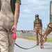 K-9 Training on Camp Kinser