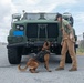 K-9 Training on Camp Kinser