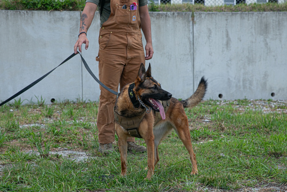 K-9 Training on Camp Kinser