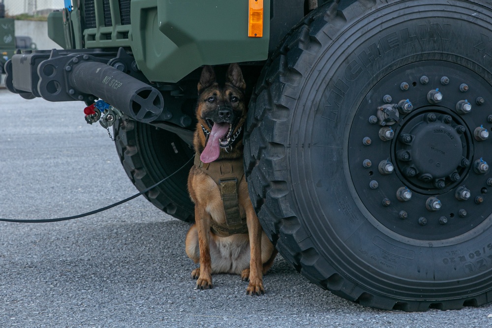 K-9 Training on Camp Kinser