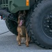 K-9 Training on Camp Kinser