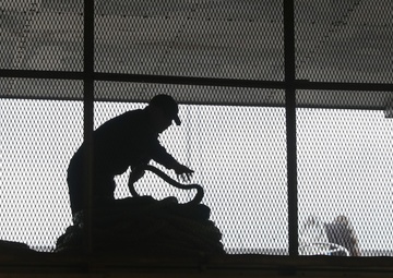 USNS Burlington Departs from Panama