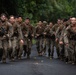 MRF-D 24.3: Golf Co., 2nd Bn., 5th Marines (Rein.) runs through True Grit obstacle course