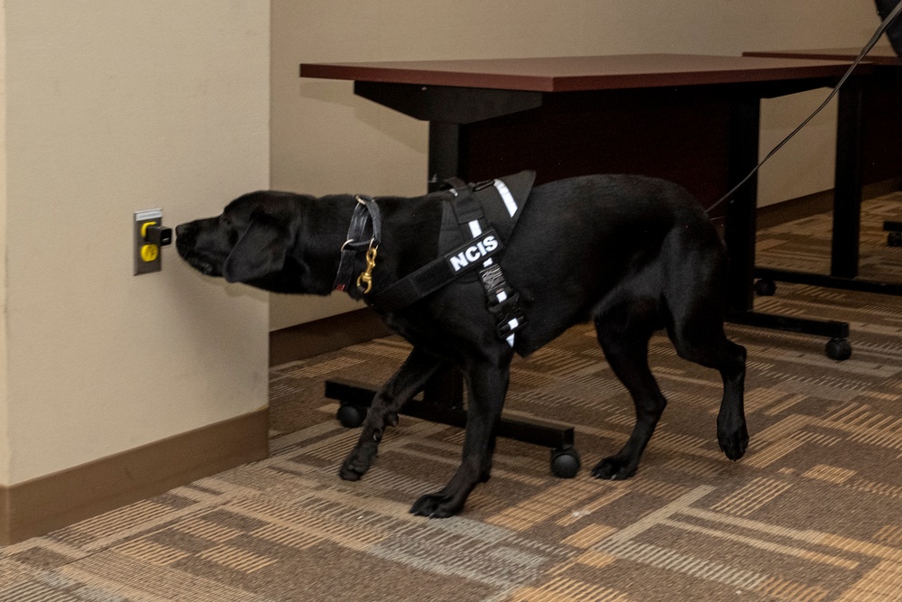 NCIS Special Agent K-9 Jill Demonstrate Search Techniques