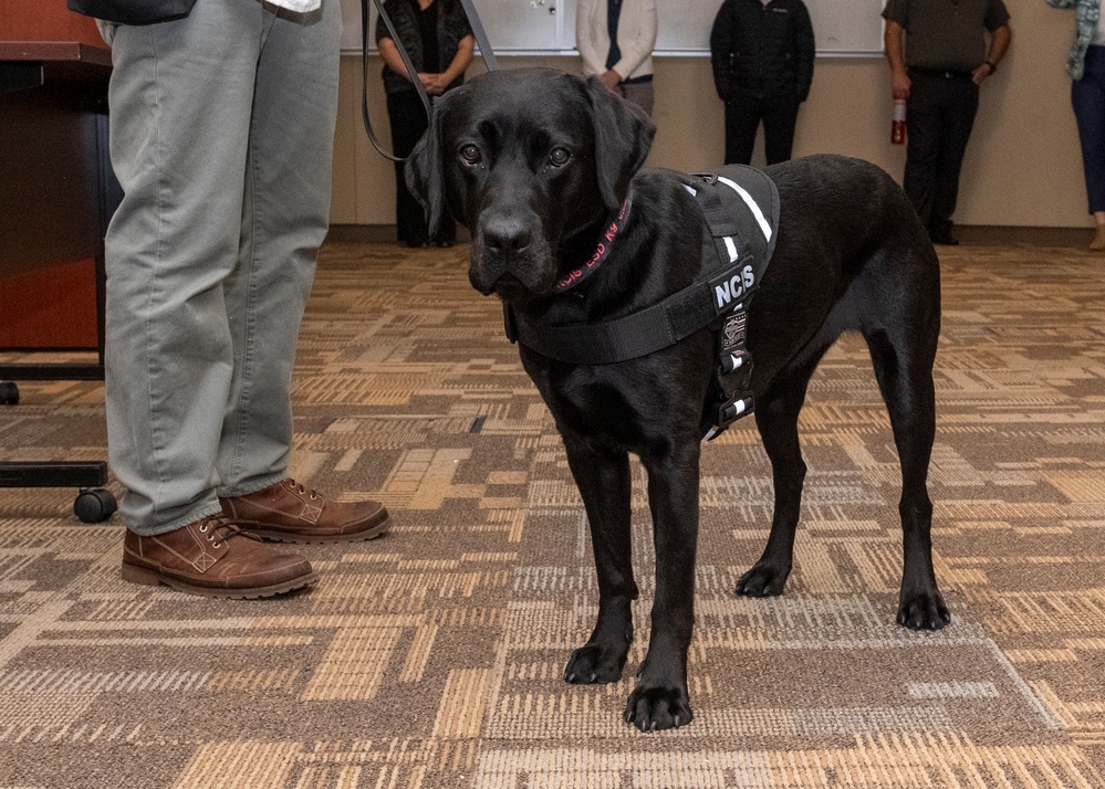 NCIS Special Agent K-9 Jill Demonstrate Search Techniques