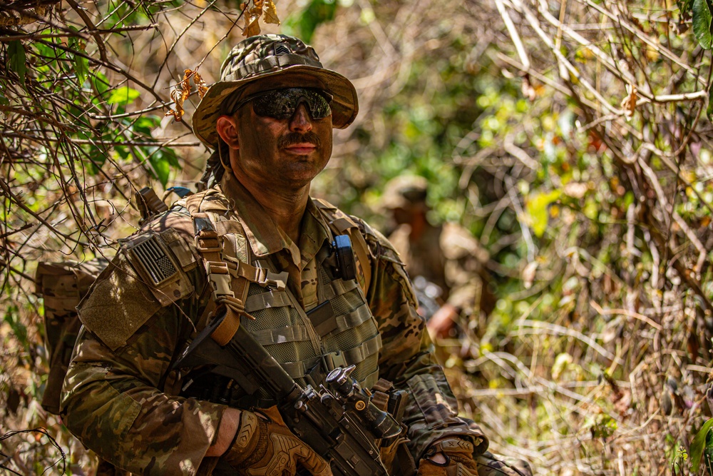 PT Bromo Air Assault mission