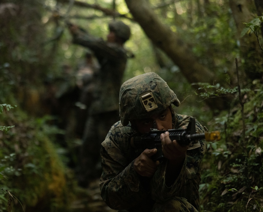 2nd LAAD Simulated Casualty Transport During Basic Jungle Skills Course       