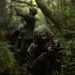 2nd LAAD Simulated Casualty Transport During Basic Jungle Skills Course       