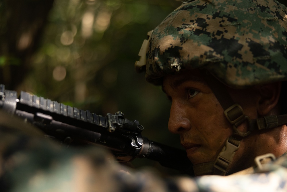 2nd LAAD Simulated Casualty Transport During Basic Jungle Skills Course       