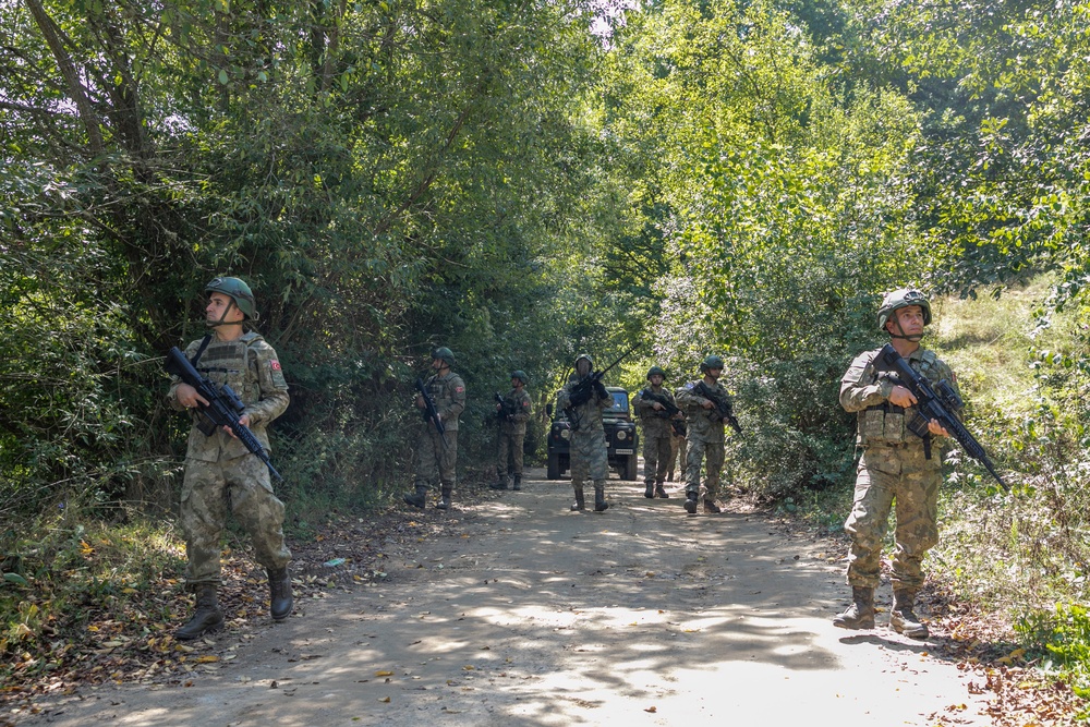 Turkish soldiers assigned to Regional Command East of the KFOR mission patrolled along the administrative boundary line during a routine patrol.