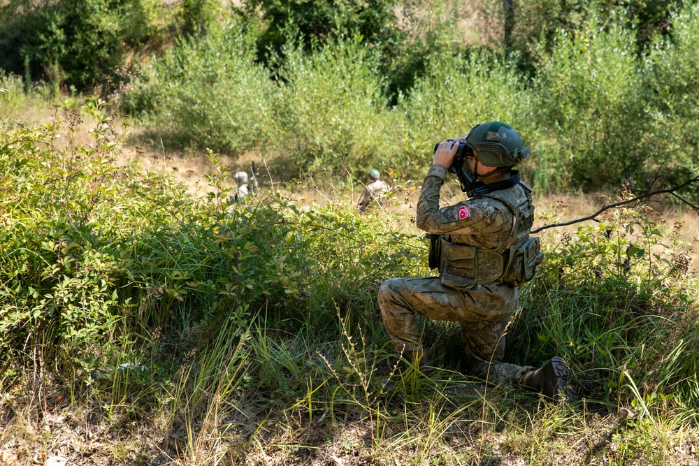 Turkish soldiers assigned to Regional Command East of the KFOR mission patrolled along the administrative boundary line during a routine patrol.