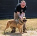 48th IBCT soldiers assigned to Regional Command East of the NATO-led KFOR mission volunteered to assist with cleaning the kennels of military working dogs at Camp Bondsteel, Kosovo, July 20, 2024.