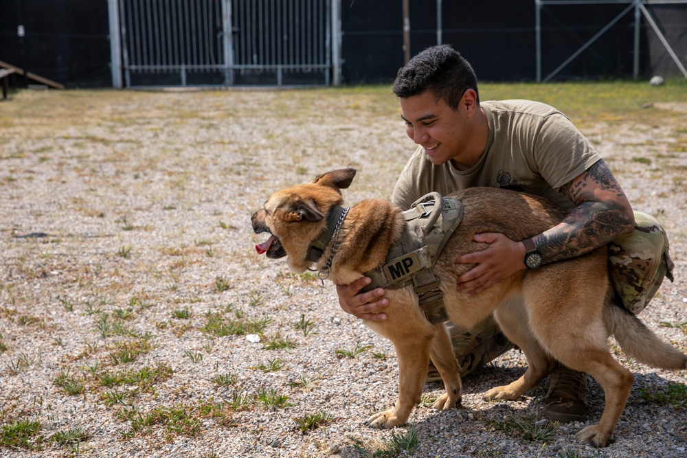 48th IBCT soldiers assigned to Regional Command East of the NATO-led KFOR mission volunteered to assist with cleaning the kennels of military working dogs at Camp Bondsteel, Kosovo, July 20, 2024.