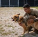 48th IBCT soldiers assigned to Regional Command East of the NATO-led KFOR mission volunteered to assist with cleaning the kennels of military working dogs at Camp Bondsteel, Kosovo, July 20, 2024.