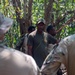 USAF, RAAF, and PNGDF exchange survival tactics during Pacific Angel 24-1