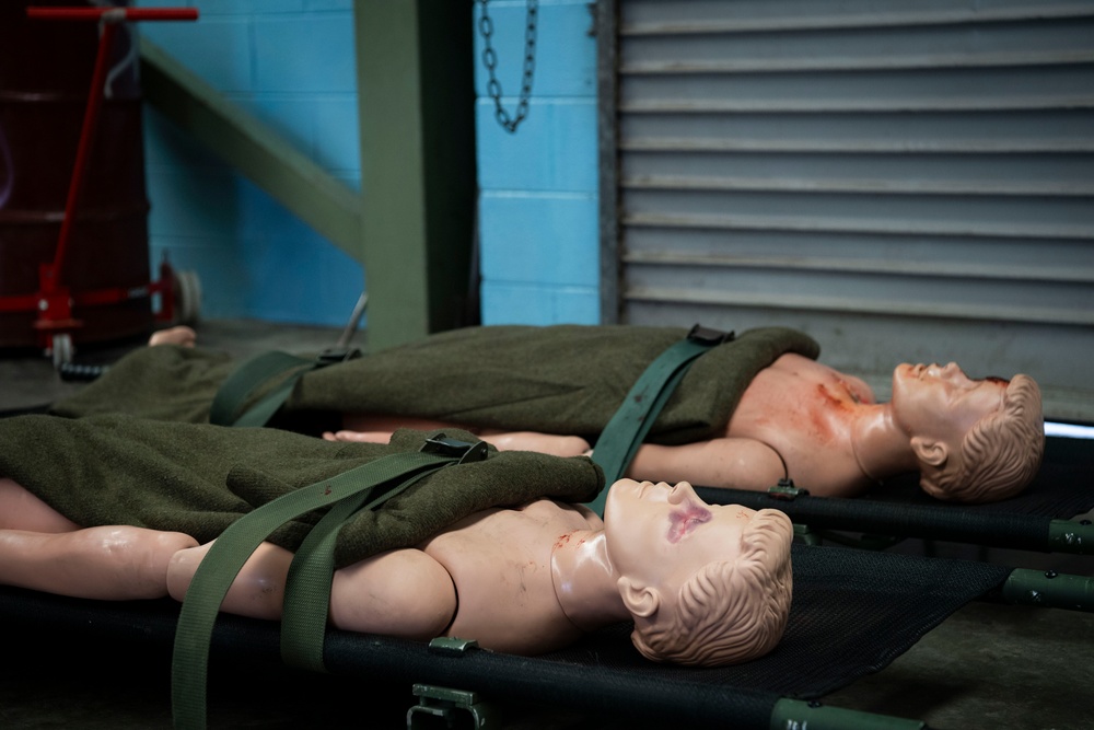 USAF, RAAF conduct aeromedical evacuation training with PNGDF during Pacific Angel 24-1