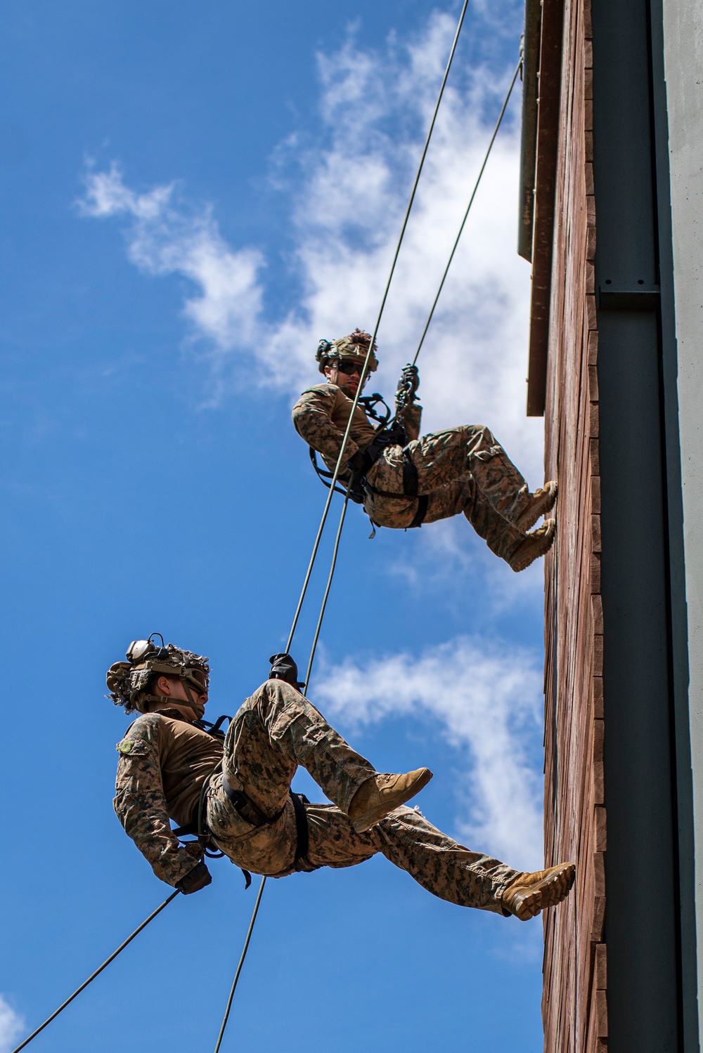 ROK Marines, 15th MEU Finish Mountain Warfare Training with MV-22 Fast-rope