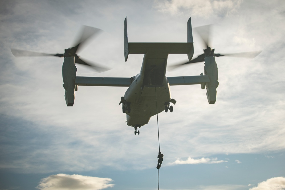 ROK Marines, 15th MEU Finish Mountain Warfare Training with MV-22 Fast-rope