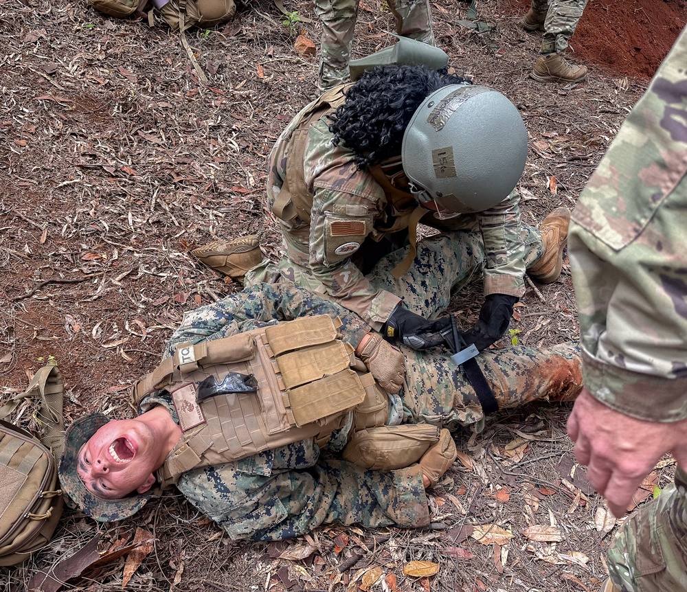 Interoperability Through Partnerships: The Vital Role of Toxic Swell in CBRN Defense