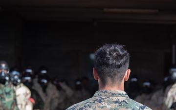 Interoperability Through Partnerships: The Vital Role of Toxic Swell in CBRN Defense