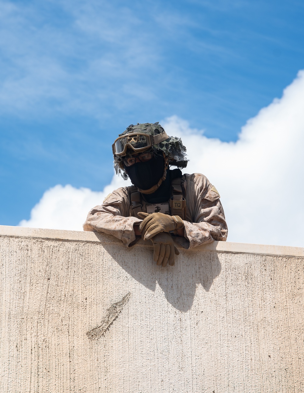 Interoperability Through Partnerships: The Vital Role of Toxic Swell in CBRN Defense