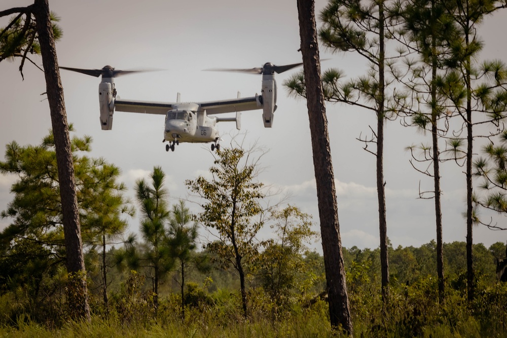 3rd Battalion, 6th Marine Regiment Conducts Battalion Field Exercise