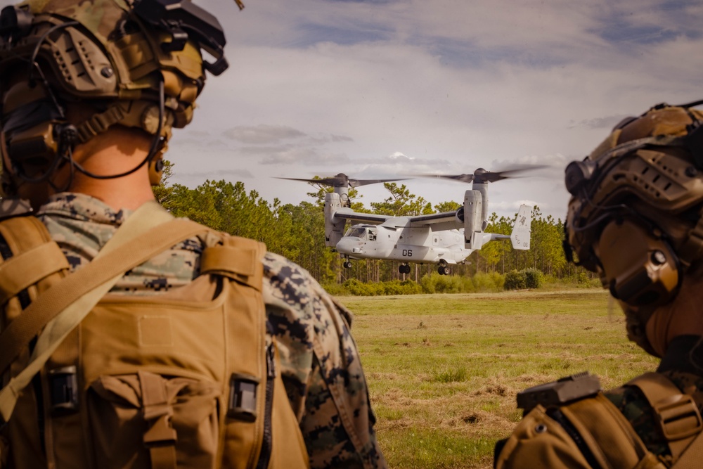 3rd Battalion, 6th Marine Regiment Conducts Battalion Field Exercise
