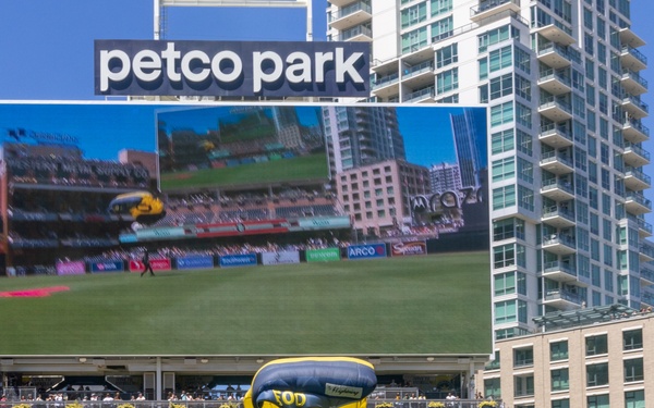Navy Parachute Team Jumps in Padres Game