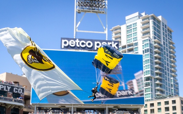 Navy Parachute Team Jumps in Padres Game