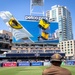 Navy Parachute Team Jumps in Padres Game