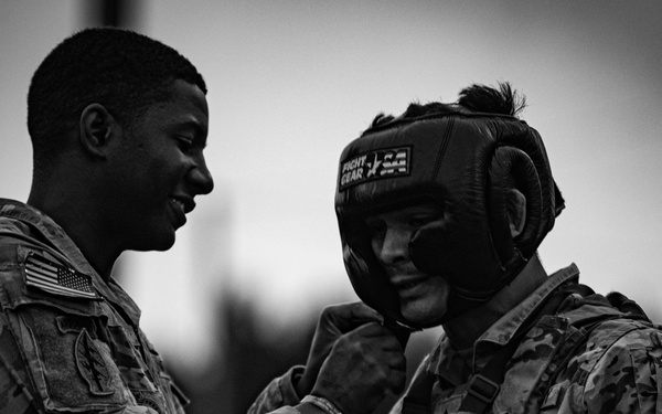 Winner Take All: 3rd Inf. Div. Wins Pugil Event at 11th Annual Com. Cam Competition