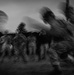 Winner Take All: 3rd Inf. Div. Wins Pugil Event at 11th Annual Com. Cam Competition
