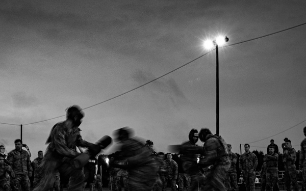 Winner Take All: 3rd Inf. Div. Wins Pugil Event at 11th Annual Com. Cam Competition