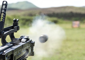 PRANG 296th IN Conducts PMVT Before Deployment