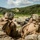 ROK Marines, BLT 1/5 Conduct CSW Live-Fire Range