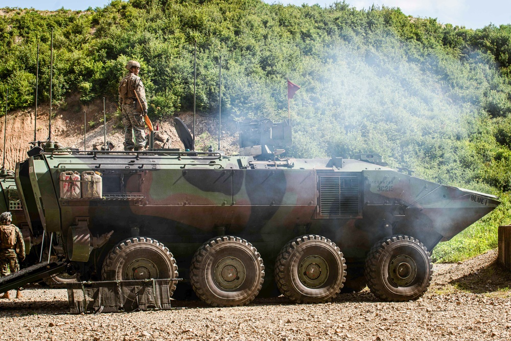 ROK Marines, BLT 1/5 Conduct CSW Live-Fire Range