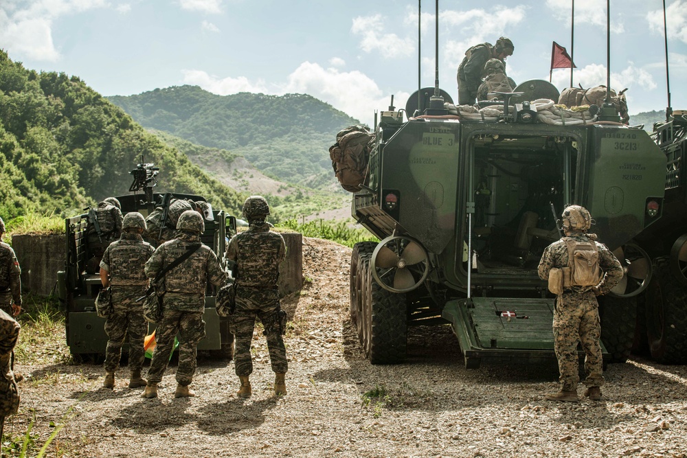 ROK Marines, BLT 1/5 Conduct CSW Live-Fire Range