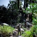 Marines with 2nd Battalion, 1st Marine Regiment practice setting up one rope bridges