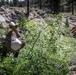 Marines with 2nd Battalion, 1st Marine Regiment practice setting up one rope bridges