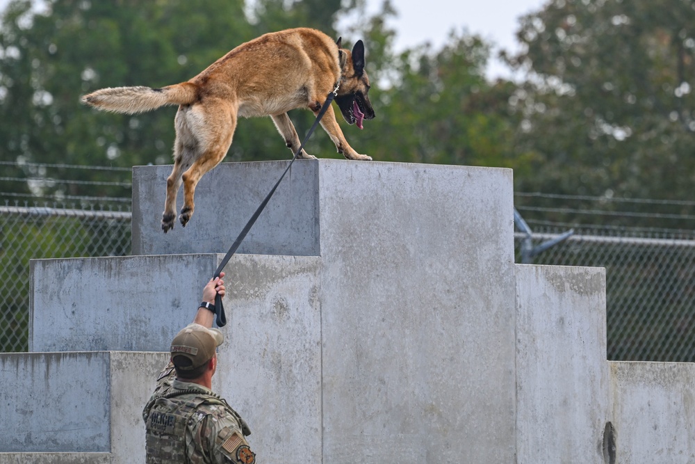 Paws on patrol: Military working dogs develop unique bonds, fill essential role