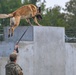 Paws on patrol: Military working dogs develop unique bonds, fill essential role