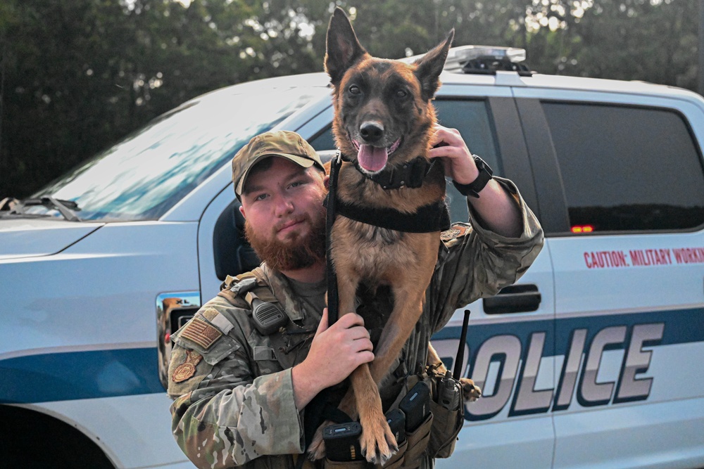 Paws on patrol: Military working dogs develop unique bonds, fill essential role