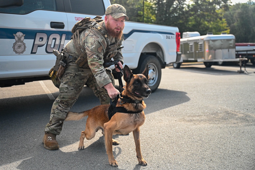 Paws on patrol: Military working dogs develop unique bonds, fill essential role