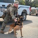 Paws on patrol: Military working dogs develop unique bonds, fill essential role